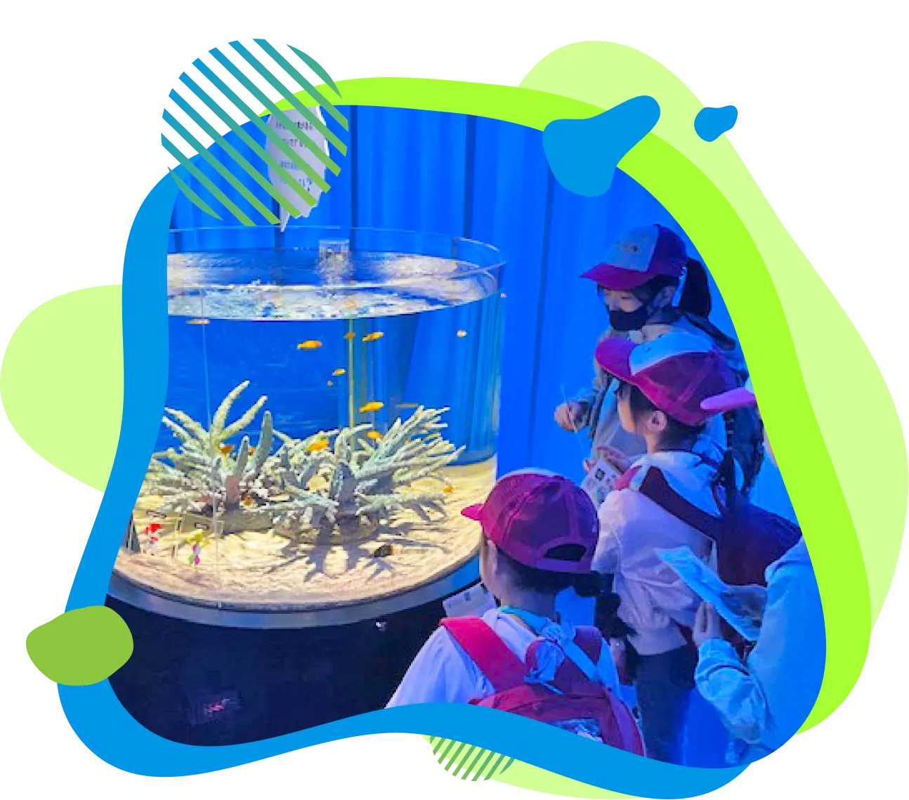 イベントプログラム