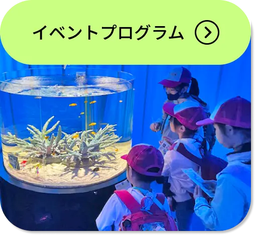 イベントプログラム